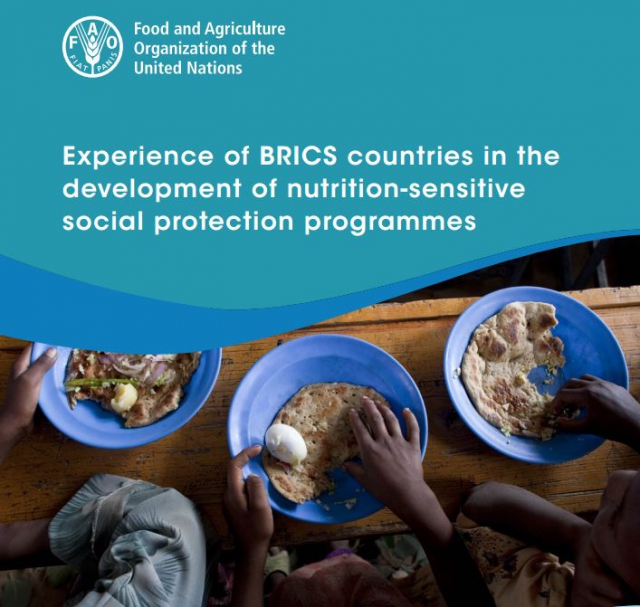Experience of BRICS countries in the development of nutrition-sensitive social protection programmes