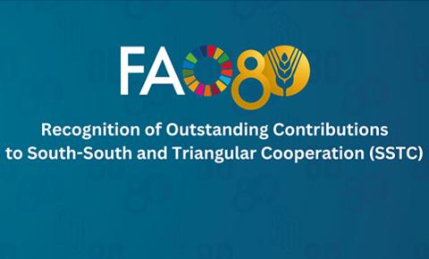 Celebrating 80 Years of FAO: Recognizing Outstanding Contributions to South-South and Triangular Cooperation (SSTC)