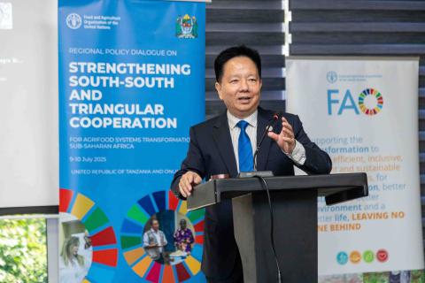 Countries unite to scale up South-South cooperation for agrifood systems transformation